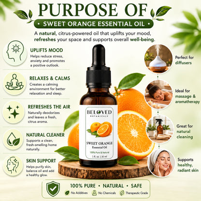 Beloved Botanicals Sweet Orange Essential Oil 30ml (1 Fl Oz) 100% Pure & Natural Citrus sinensis Oil for Aromatherapy, Diffusers, Massage, DIY Skincare, Soap & Candle Making, Fresh Citrus Aroma