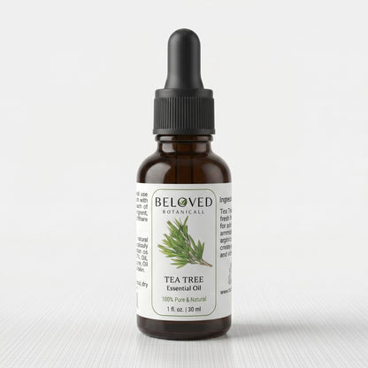 Beloved Botanicals Tea Tree Essential Oil 30ml (1 Fl Oz) 100% Pure & Natural Melaleuca alternifolia Oil for Aromatherapy, Diffusers, Skincare, Hair Care, DIY Soap & Candle Making