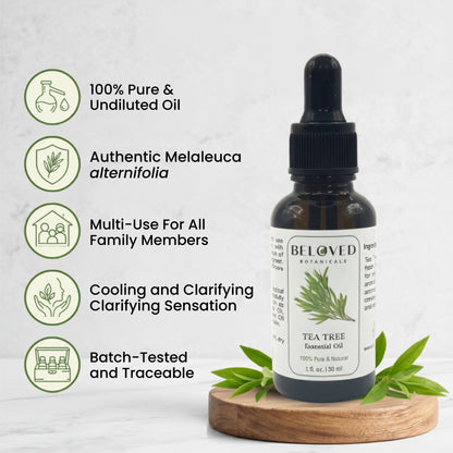 Beloved Botanicals Tea Tree Essential Oil 30ml (1 Fl Oz) 100% Pure & Natural Melaleuca alternifolia Oil for Aromatherapy, Diffusers, Skincare, Hair Care, DIY Soap & Candle Making