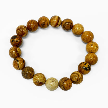 Picture Jasper Gemstone Bead Unisex Stretch Bracelet - Gem Avenue