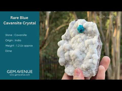 Natural Cavansite Mineral Cluster on White Matrix Rare Blue Crystal for Display, Decor & Collection - RMI860