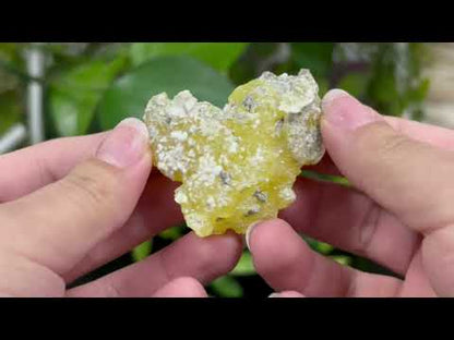 Natural Brucite Crystal Mineral Specimen Powerful Healing Stone for Clarity, Confidence & Energy Cleansing - RMI740