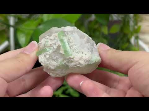 Natural Green Tourmaline Crystal for Protection & Energy - RMI736