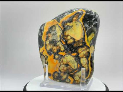 Bumble Bee Jasper Slab - RSL065