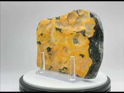 Bumble Bee Jasper Slab - RSL064