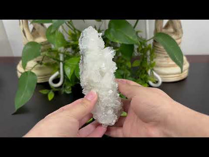 Natural Apophyllite Crystal Cluster Raw Healing Stone for Meditation, Decor & Collectors – RMI714