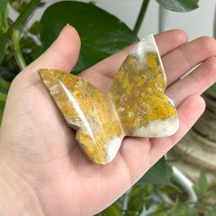 Neo Bumble Be Jasper Butterfly Insect Figurine - Gem Avenue