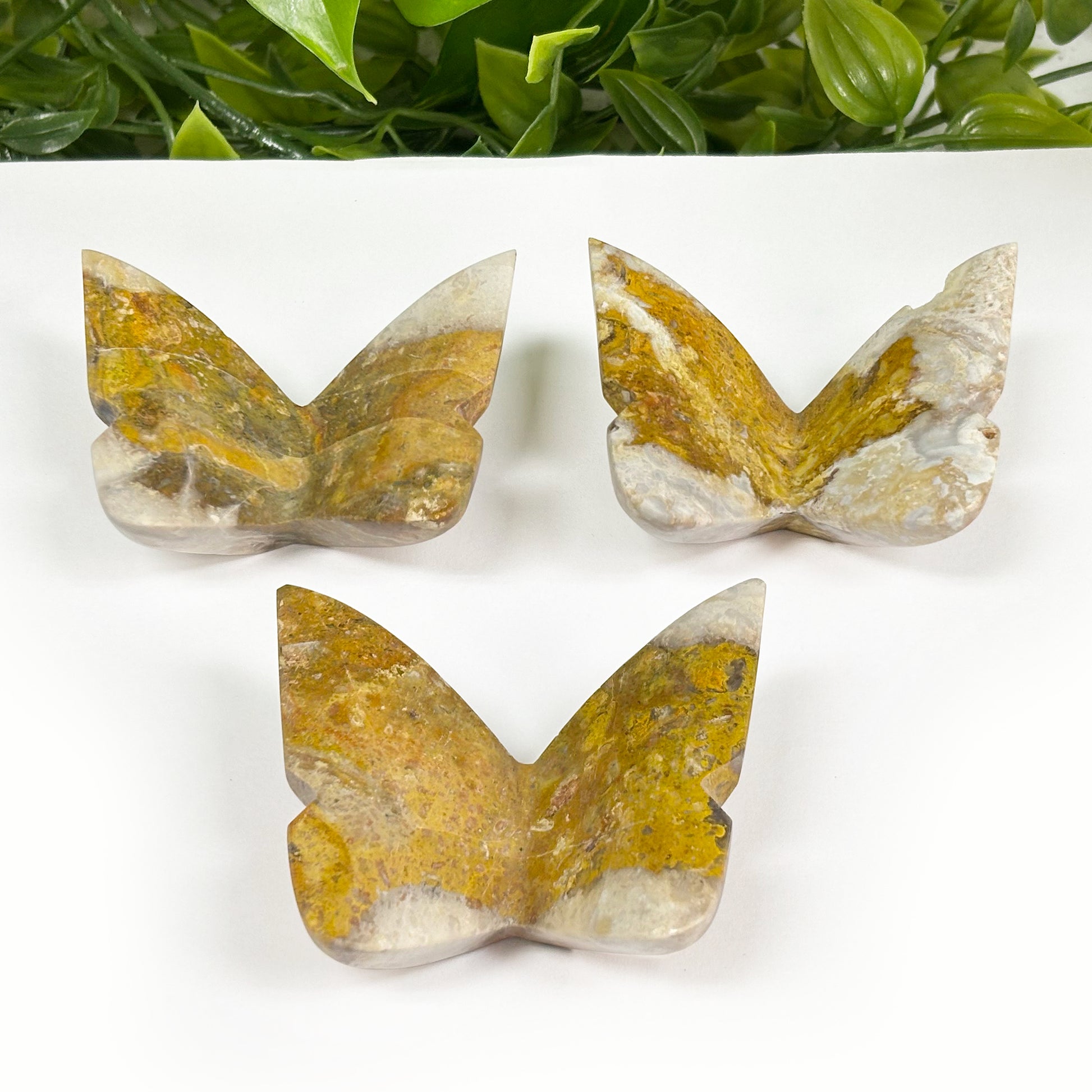 Neo Bumble Be Jasper Butterfly Insect Figurine - Gem Avenue