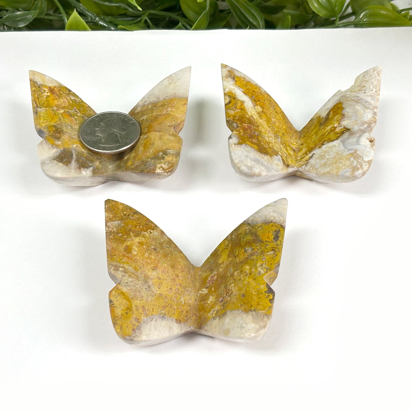 Hand-Carved Neo Bumble Be Jasper Butterfly Wings Pair Crystal Gemstone Insect Figurine Decor - RAN481-Bumble Be