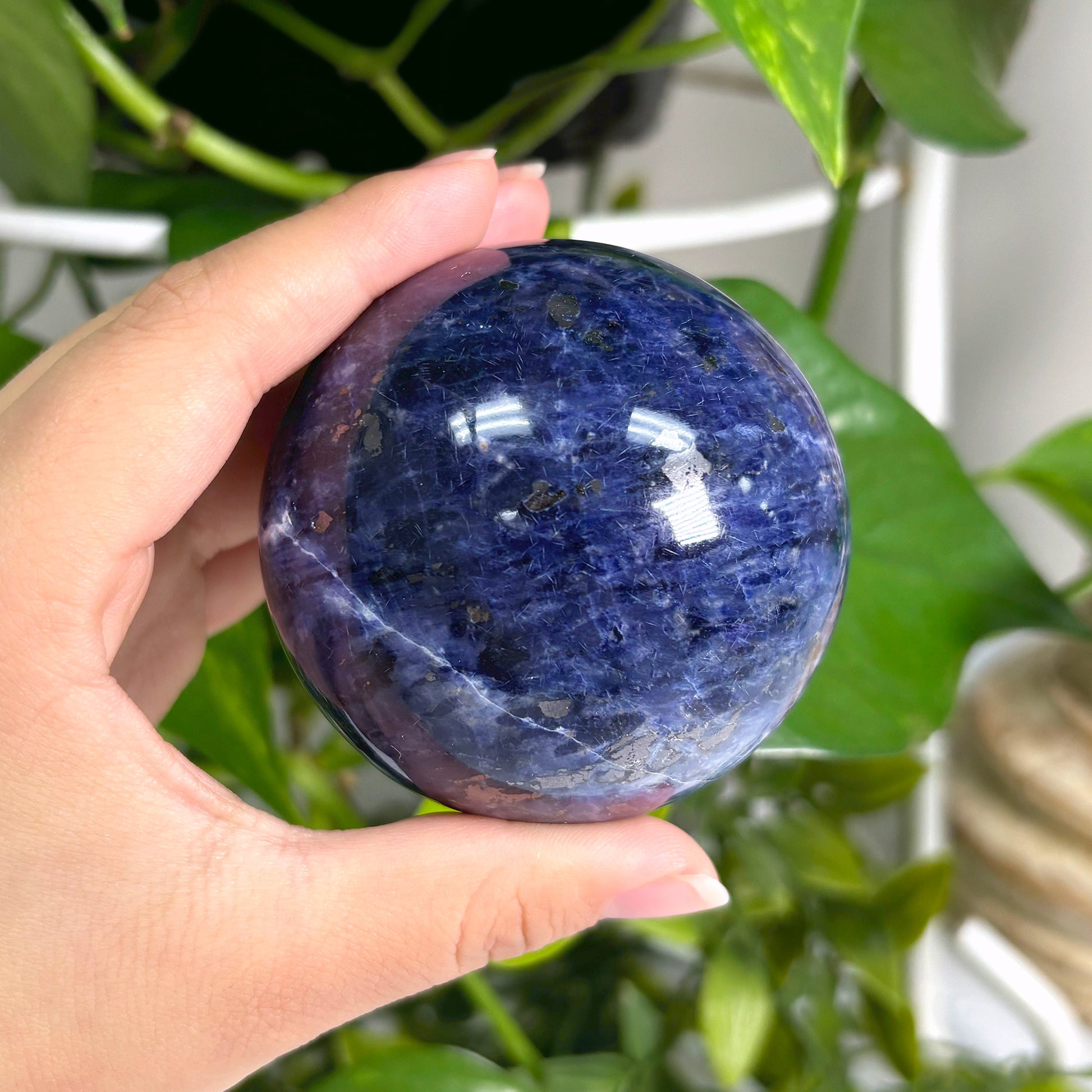 Polished Sodalite Crystal Gemstone Sphere Decor Ball - Gem Avenue