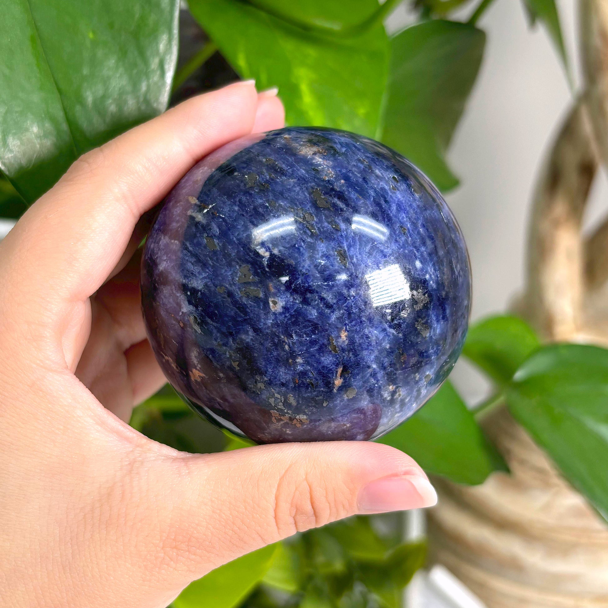 Polished Sodalite Crystal Gemstone Sphere Decor Ball - Gem Avenue