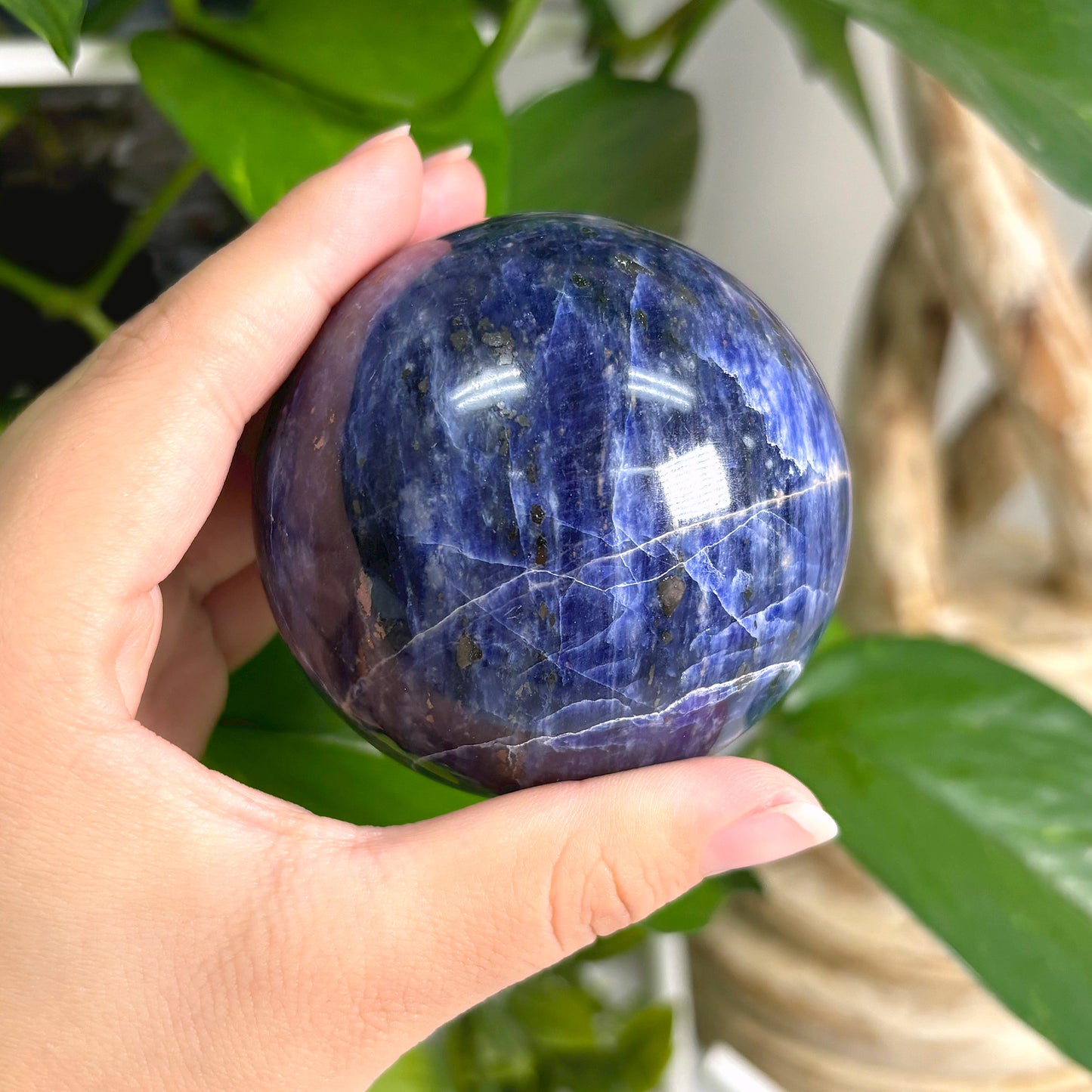 Polished Sodalite Crystal Gemstone Sphere Decor Ball - Gem Avenue