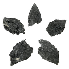 Natural Black Kyanite Blades Gemstone Crystal