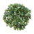 Natural Raw Peridot Rough Crystal Mineral in Various Sizes from Pakistan ( 1 Lb. 1/4 Lb. 1/2 Lb. )