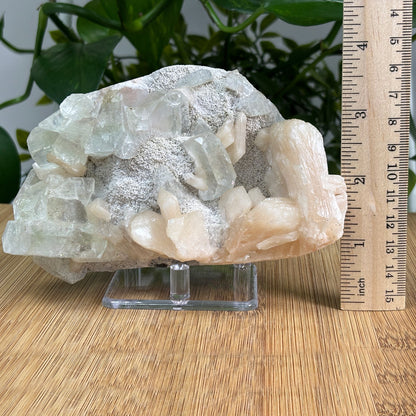 Green Apophyllite Stilbite Gemstone Mineral Specimen - Gem Avenue