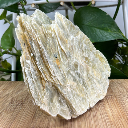 Mica Mineral Specimen - Gem Avenue