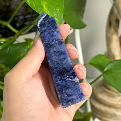 Natural Sodalite Crystal Gemstone Obelisk Tower Point