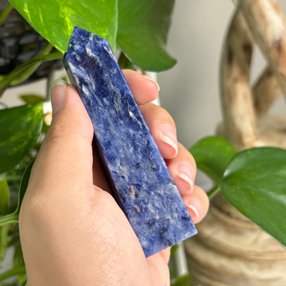 Natural Sodalite Crystal Gemstone Obelisk Tower Point