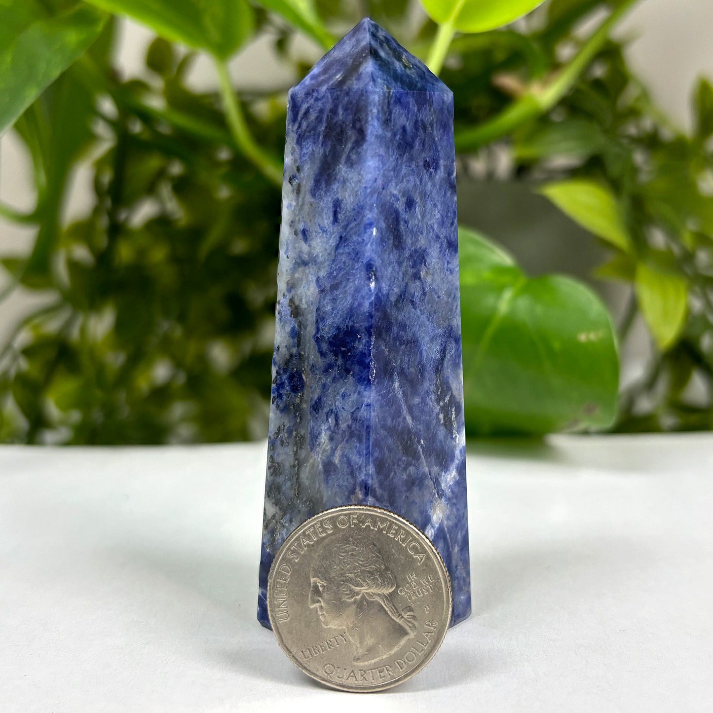 Natural Sodalite Crystal Gemstone Obelisk Tower Point