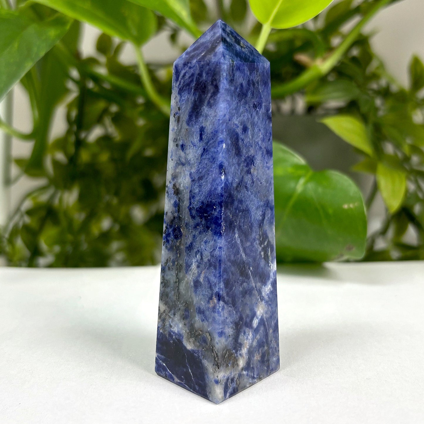 Natural Sodalite Crystal Gemstone Obelisk Tower Point