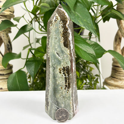 Natural Sea Jasper Crystal Gemstone Obelisk Tower Point - Gem Avenue