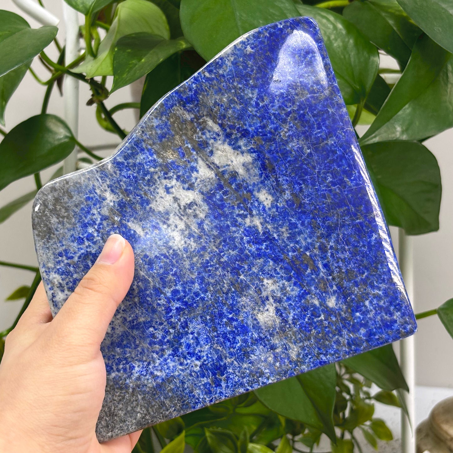 Lapis Lazuli Freeform Rock - Gem Avenue