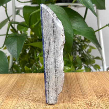 Lapis Lazuli Freeform Rock - Gem Avenue