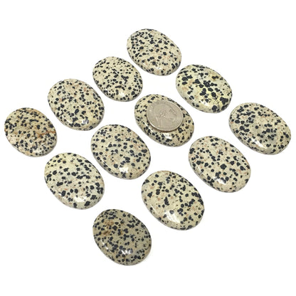 Dalmatian Jasper Worry Stone – Pocket Thumb Stone with Indent for Anxiety and Stress Relief – Polished Fidget Stone for Focus, Calming, Meditation, Grounding – Gift for Men & Women (1 Piece)