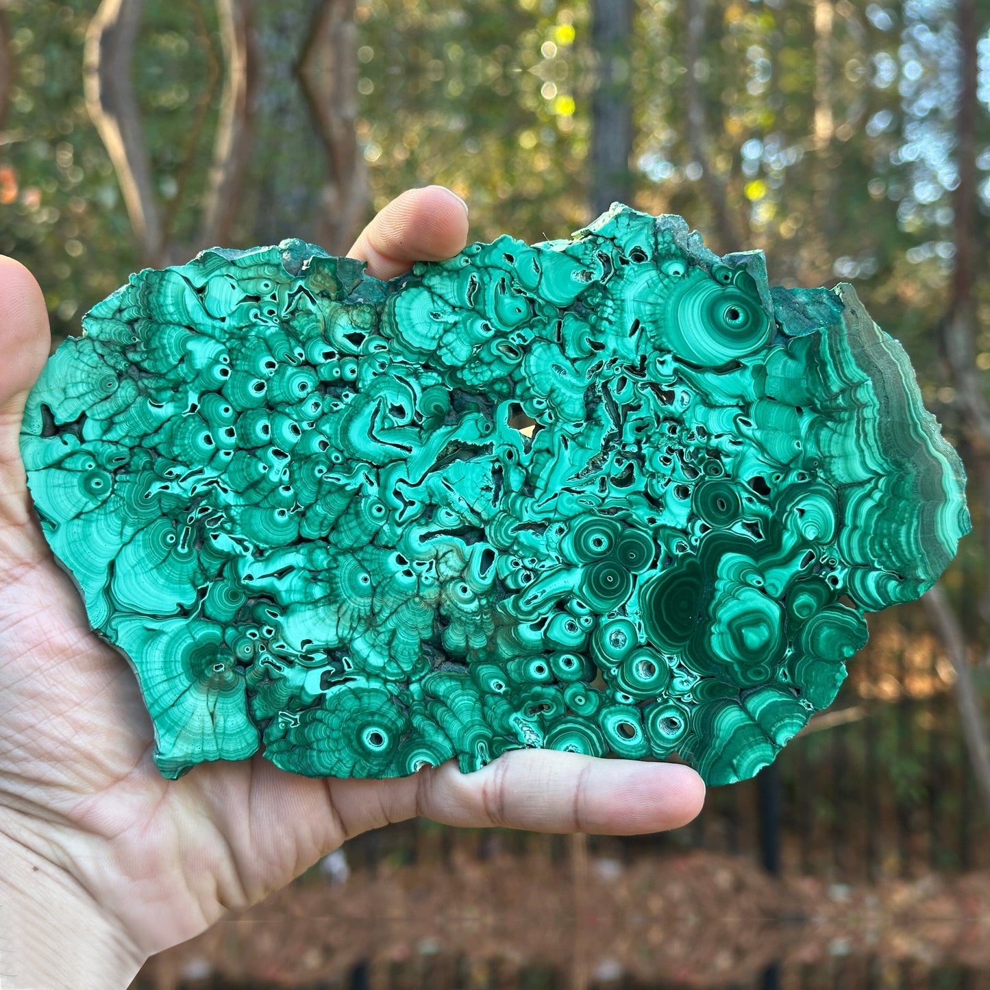 Natural Malachite Crystal Slab – Polished Green Gemstone Slice for Collectors, Crafts, Display, and Home Decor – Banded Malachite Specimen - RSL041
