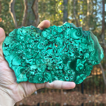 Natural Malachite Crystal Slab – Polished Green Gemstone Slice for Collectors, Crafts, Display, and Home Decor – Banded Malachite Specimen - RSL041