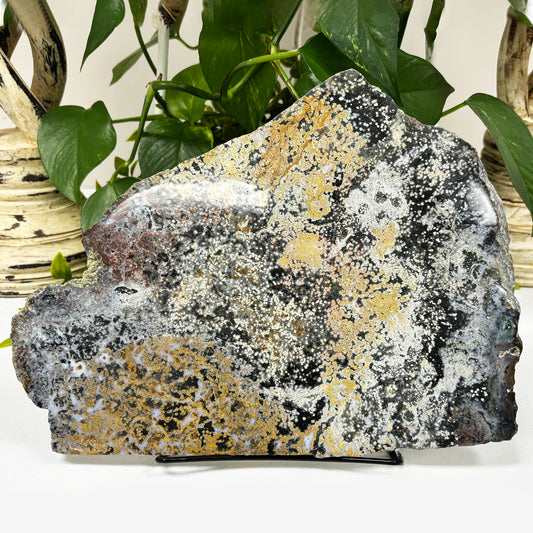 Natural Sea Jasper Crystal Gemstone Slab - Gem Avenue
