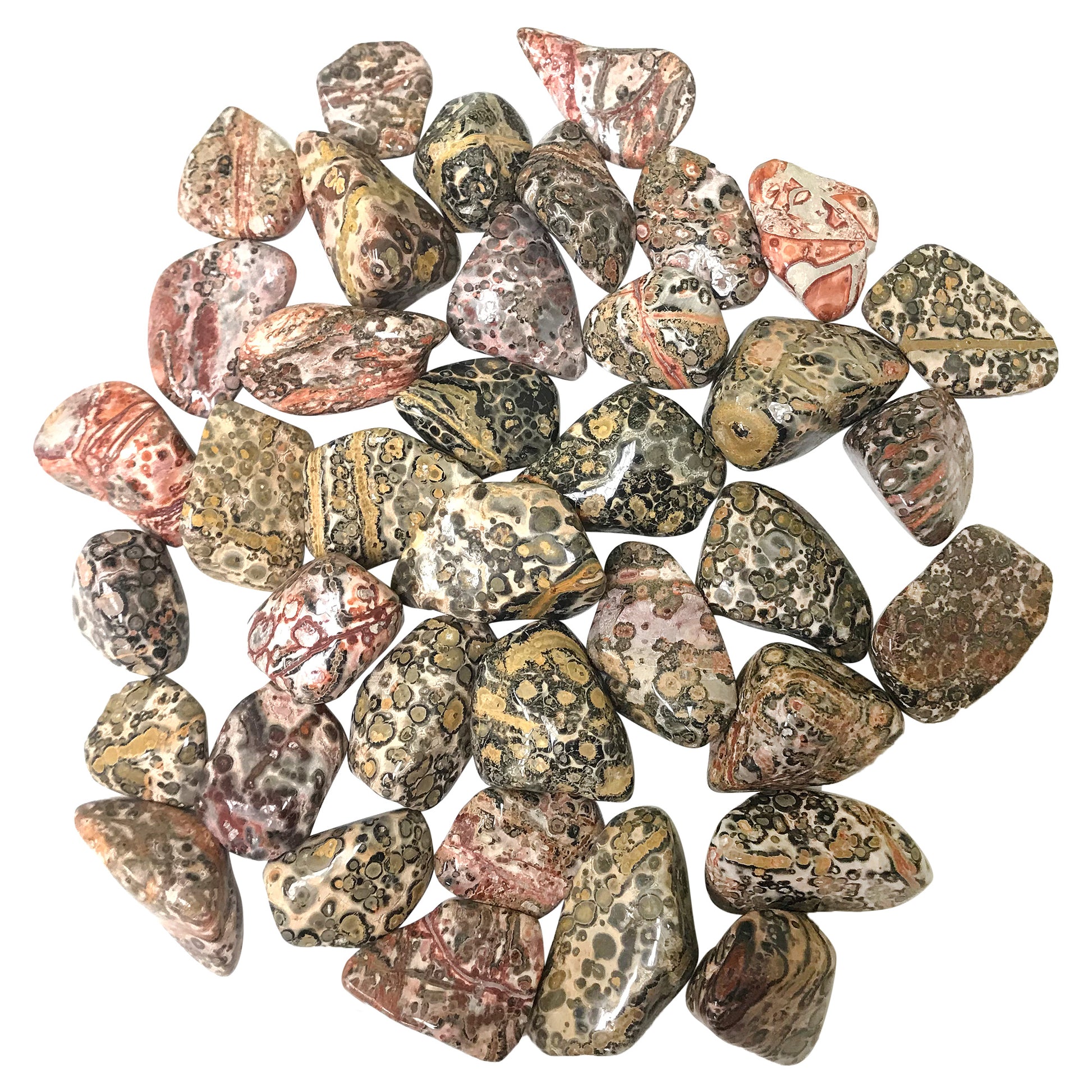 Leopard Skin Jasper Tumbled Stone - Gem Avenue