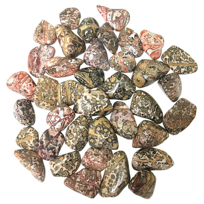 Leopard Skin Jasper Tumbled Stone - Gem Avenue