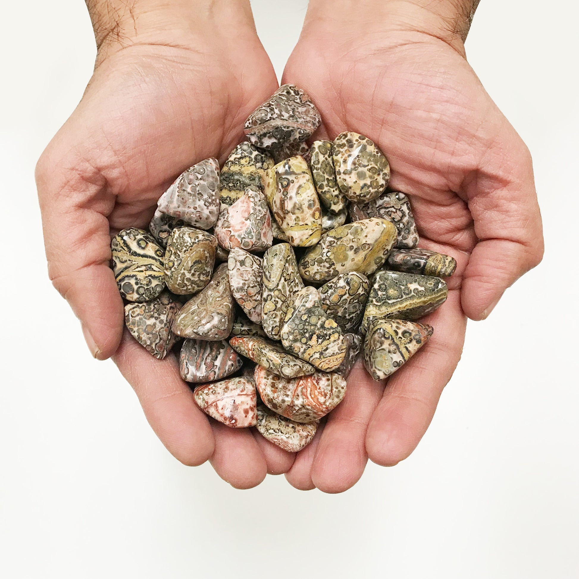 Leopard Skin Jasper Tumbled Stone - Gem Avenue