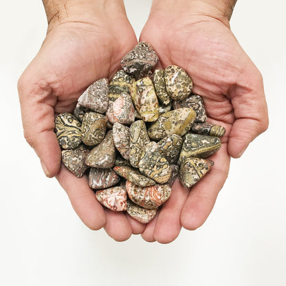 Leopard Skin Jasper Tumbled Stone - Gem Avenue