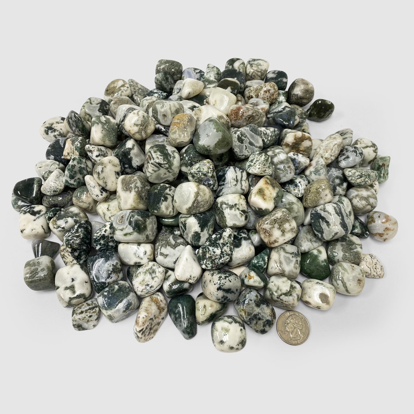 Tree Agate Tumbled Stone - Gem Avenue