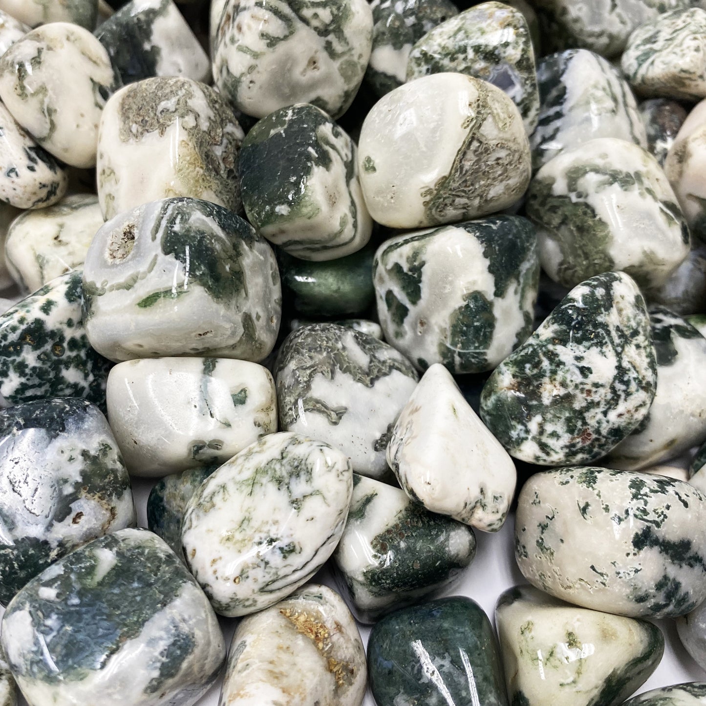 Tree Agate Tumbled Stone - Gem Avenue
