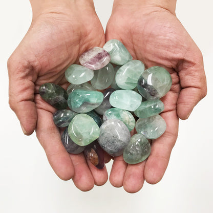 Natural Fluorite Tumbled Stone - Gem Avenue