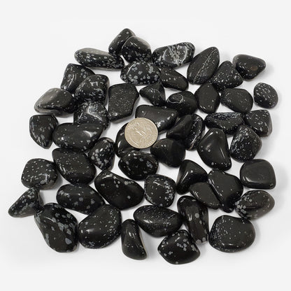 Snowflake Obsidian Tumbled Stone Gemstone Crystal - Gem Avenue