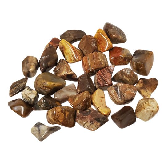Petrified Wood Tumbled Stone Gemstone Crystal - Gem Avenue