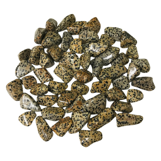 Dalmatian Jasper Tumbled Stone - Gem Avenue