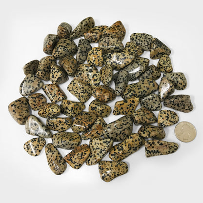Dalmatian Jasper Tumbled Stone - Gem Avenue