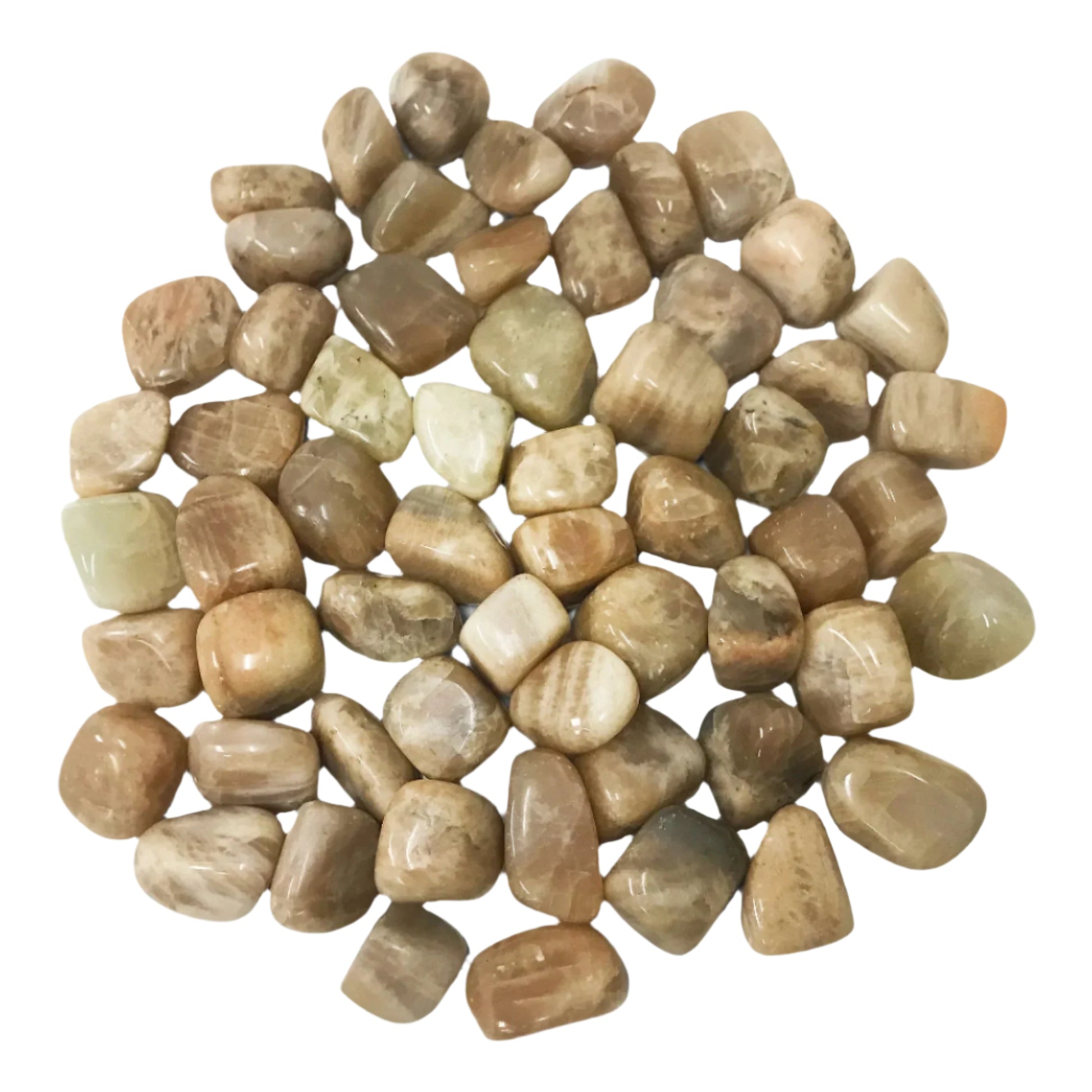 Moonstone Tumbled Stone Gemstone Crystal - Gem Avenue