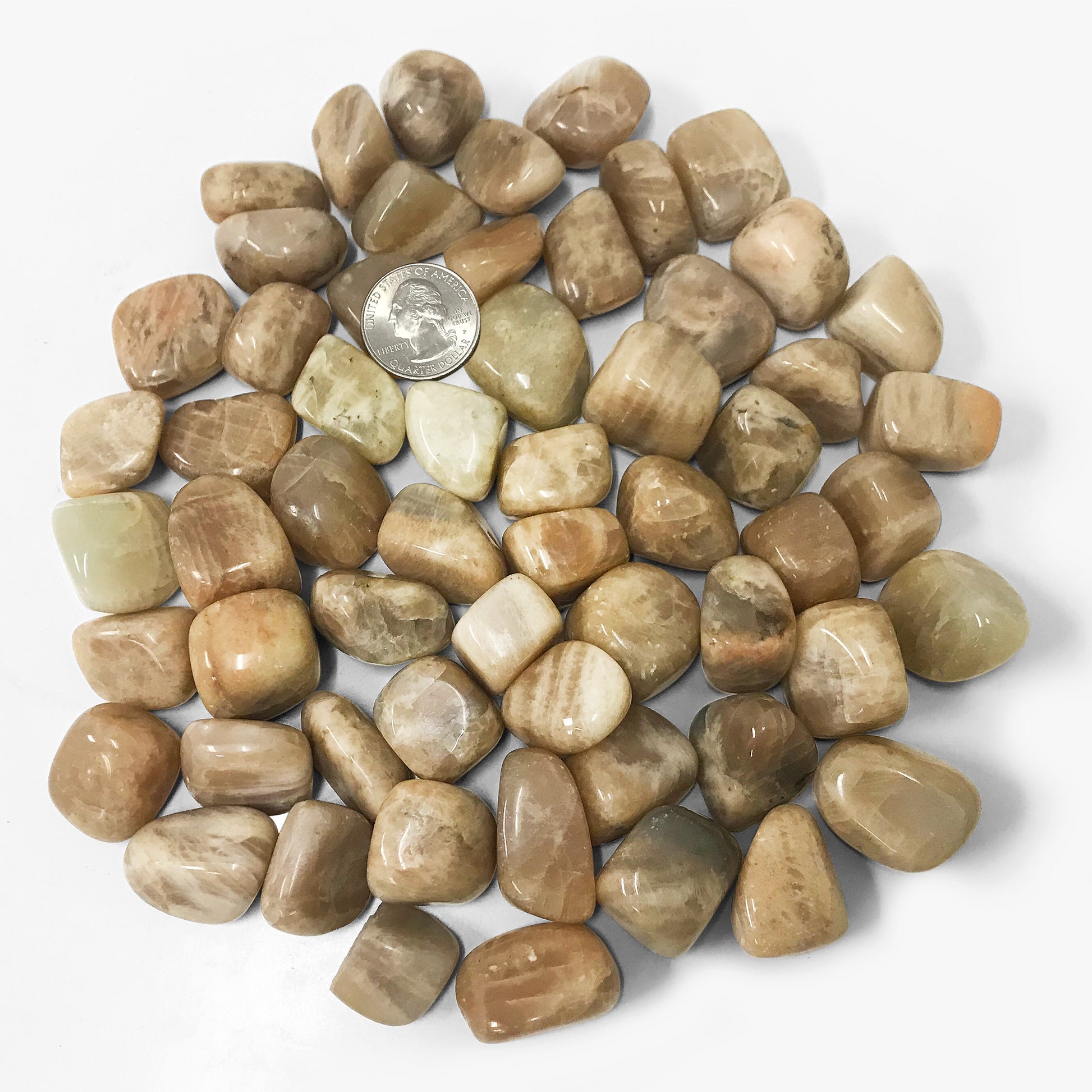 Moonstone Tumbled Stone Gemstone Crystal - Gem Avenue