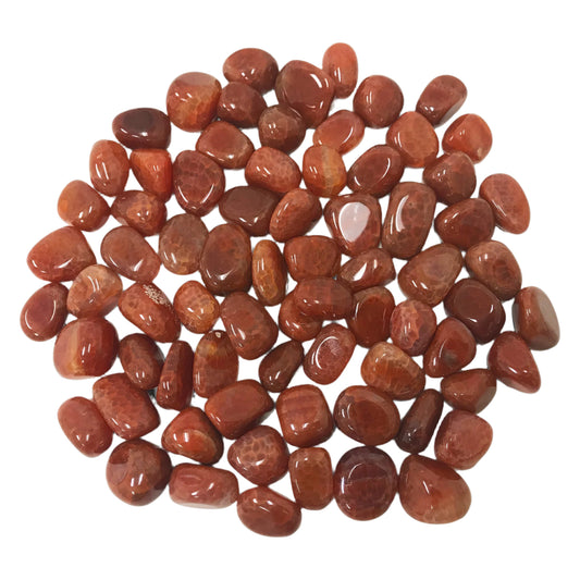 Fire Agate Heated Tumbled Stone Gemstone Crystal - Gem Avenue