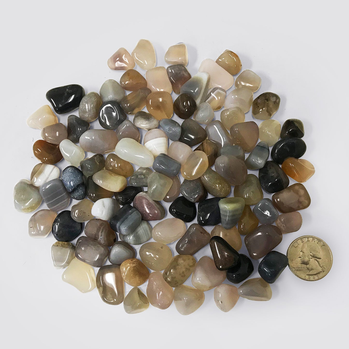 Chalcedony Tumbled Stone - Gem Avenue