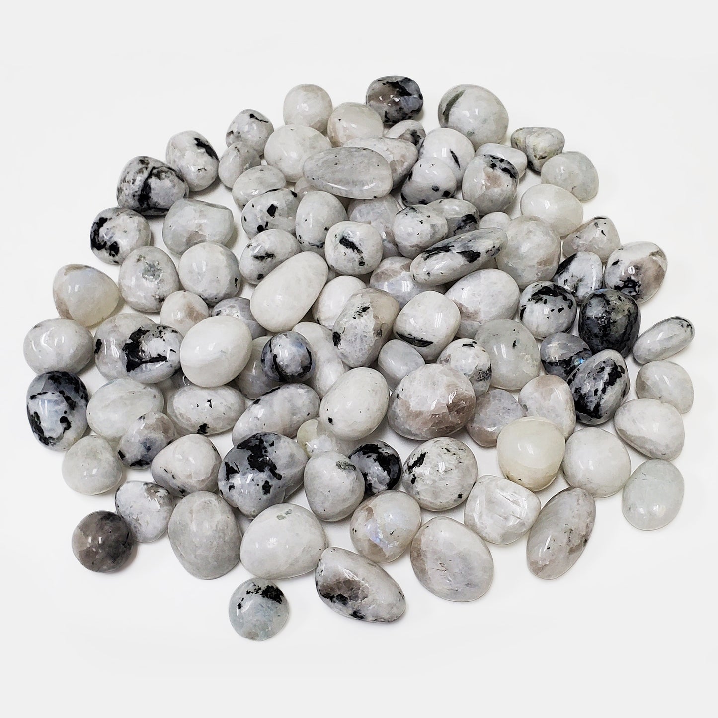 Rainbow Moonstone Tumbled Stone - Gem Avenue