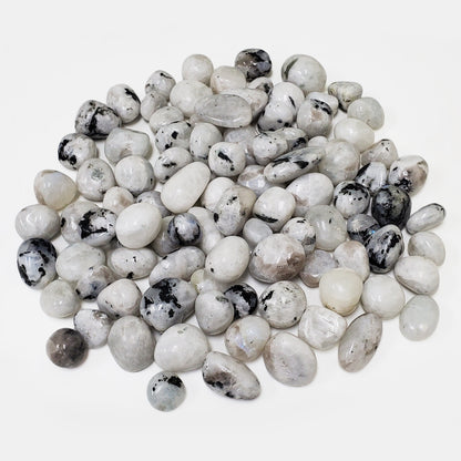 Rainbow Moonstone Tumbled Stone - Gem Avenue