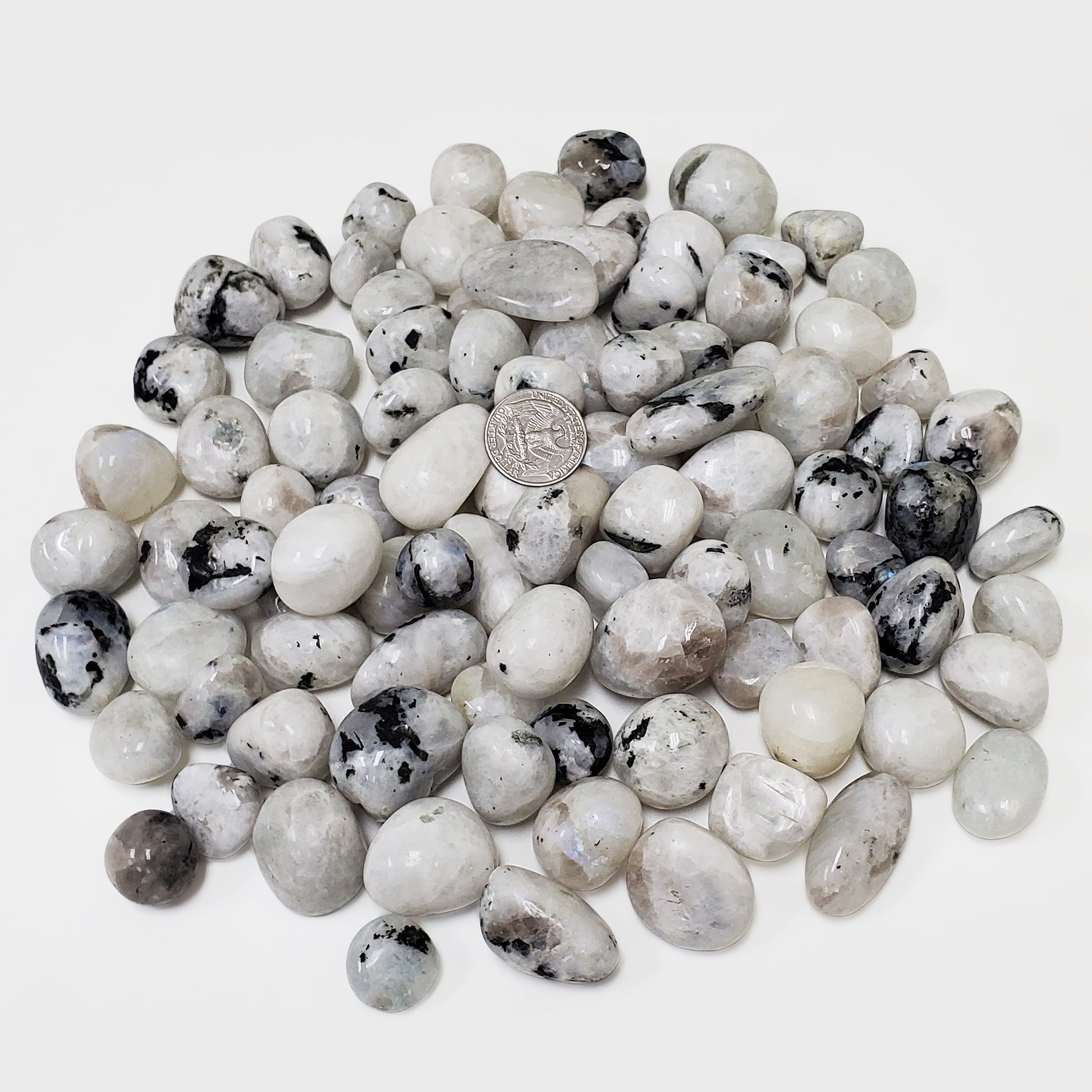 Rainbow Moonstone Tumbled Stone - Gem Avenue