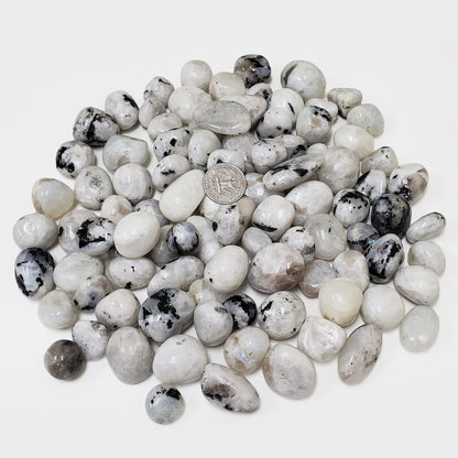Rainbow Moonstone Tumbled Stone - Gem Avenue